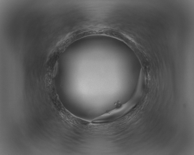 X0000054461447200508011449