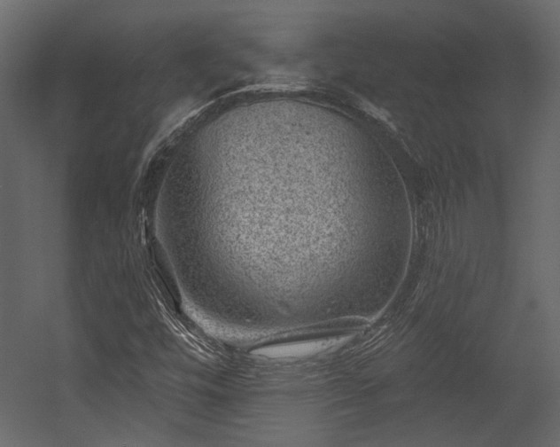 X0000054461448200508011449