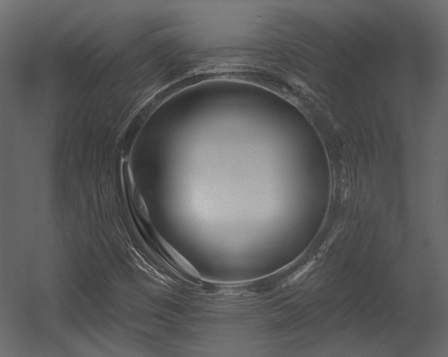 X0000054461449200508011449