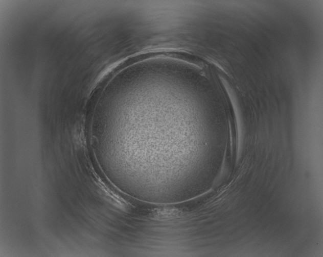 X0000054461452200508011449