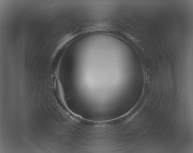 X0000054461453200508011449