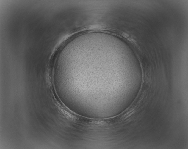 X0000054461454200508011449