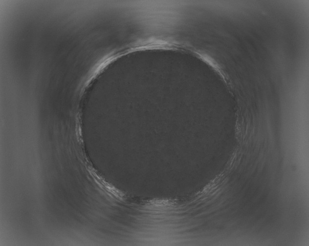 X0000054461455200508011449