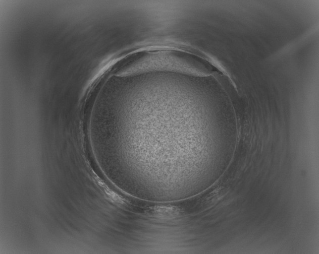 X0000054461456200508011449