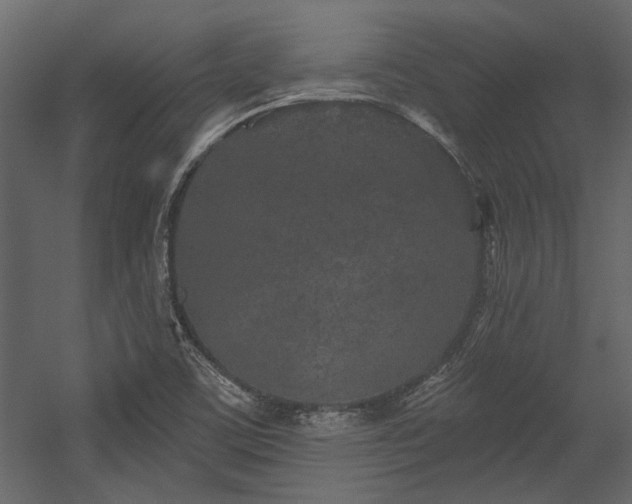 X0000054461459200508011449