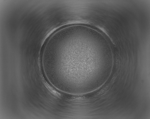 X0000054461460200508011449