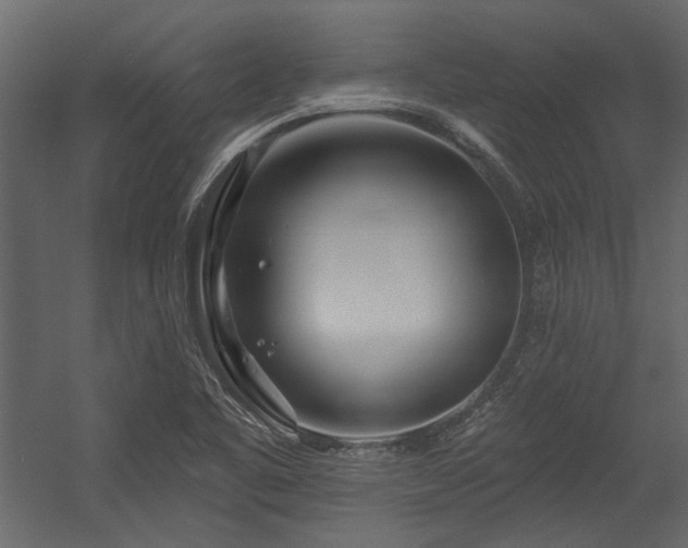 X0000054461461200508011449