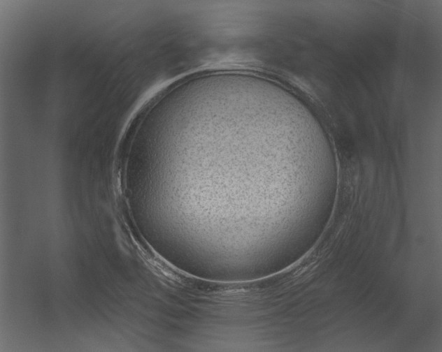 X0000054461462200508011449