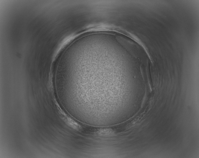 X0000054461464200508011449