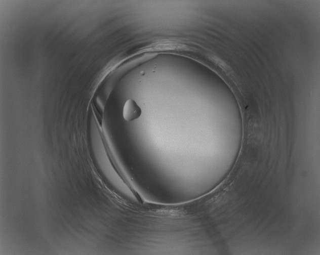 X0000054461465200508011449