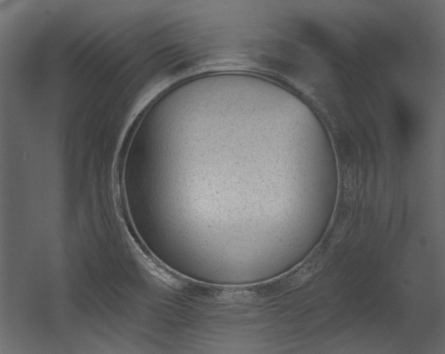 X0000054461466200508011449