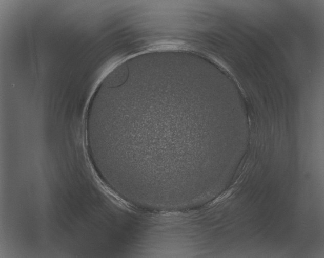 X0000054461467200508011449