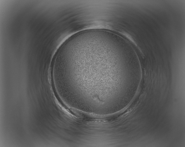 X0000054461468200508011448