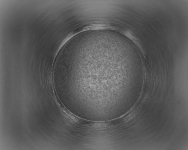 X0000054461473200508011448