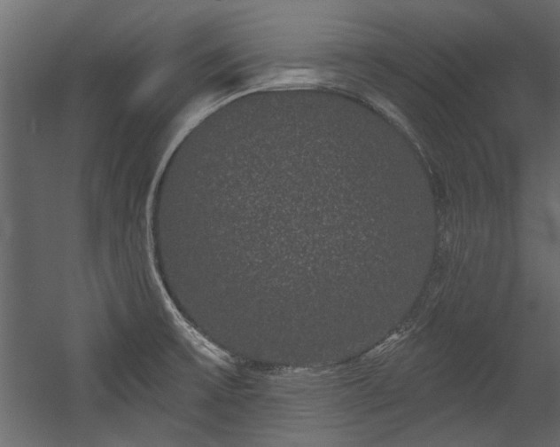 X0000054461475200508011448