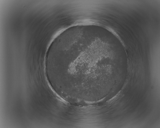 X0000054461477200508011448