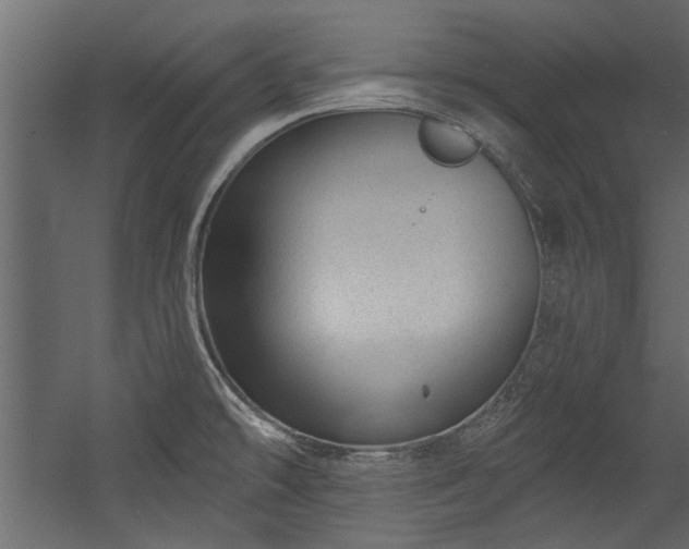 X0000054461478200508011448