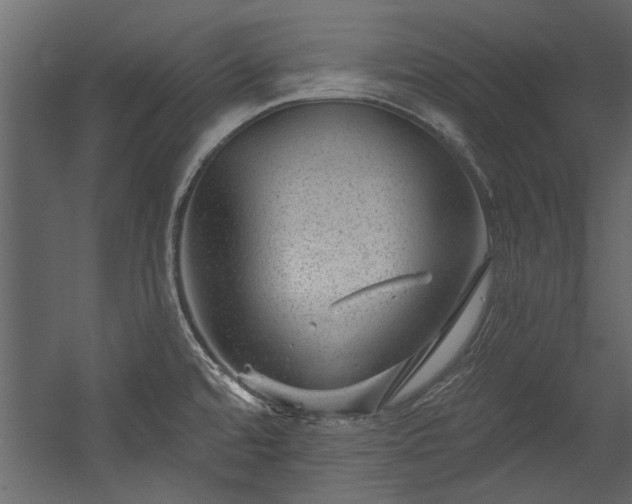 X0000054461480200508011448