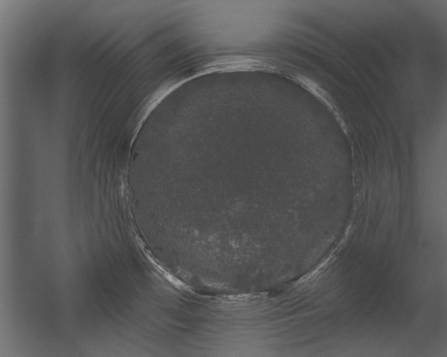 X0000054461481200508011448