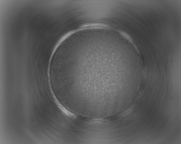 X0000054461482200508011448