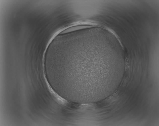 X0000054461483200508011448