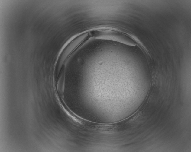 X0000054461484200508011448