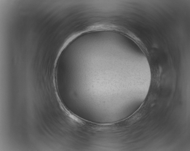 X0000054461486200508011448