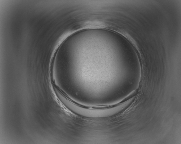 X0000054461488200508011448