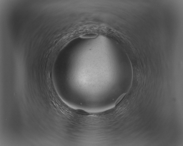 X0000054461489200508011447