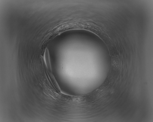 X0000054461490200508011447