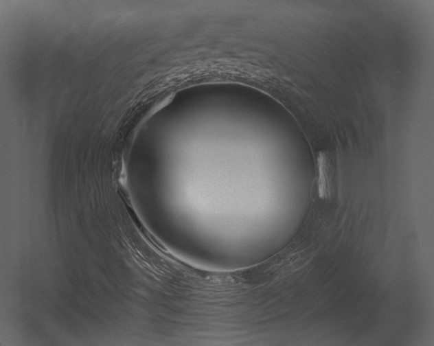 X0000054461491200508011447