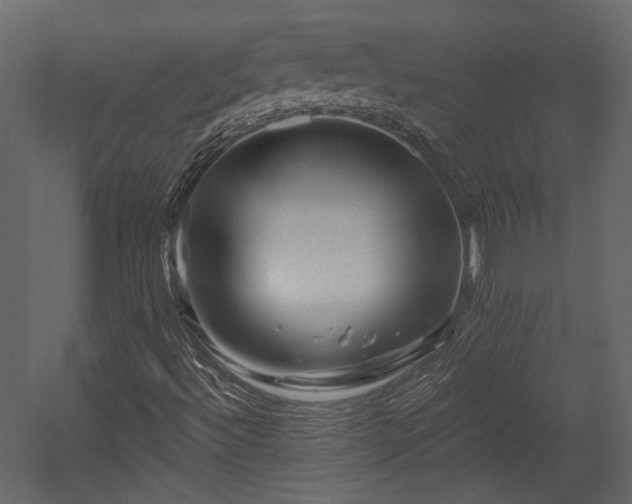 X0000054461492200508011447