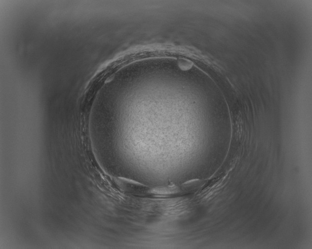 X0000054461494200508011447