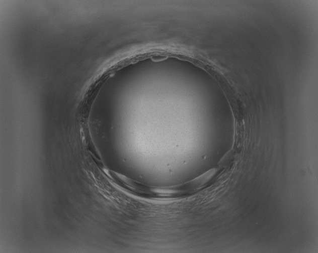 X0000054461496200508011447