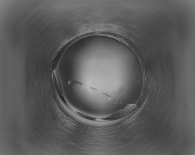 X0000054461497200508011447