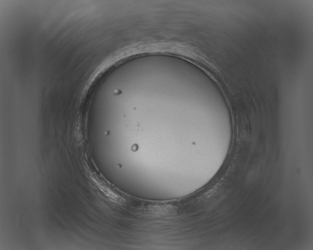 X0000054461498200508011447