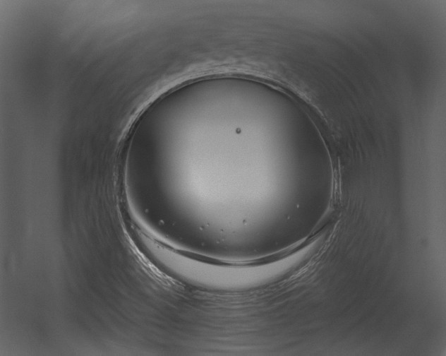 X0000054461500200508011448