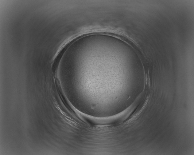 X0000054461501200508011448