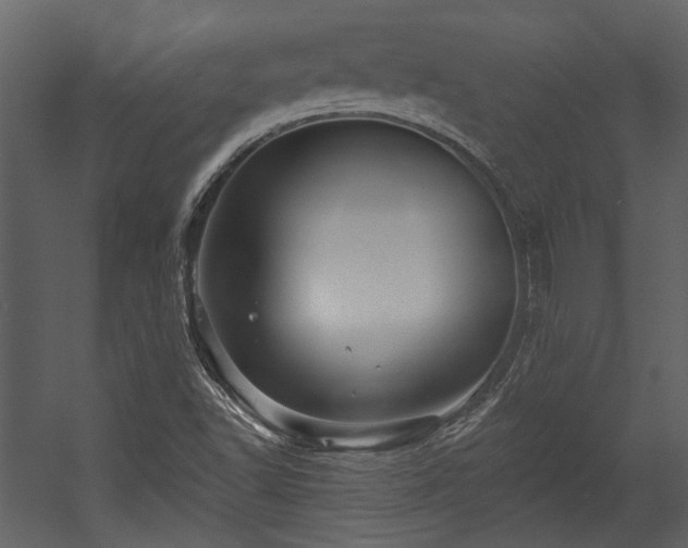 X0000054461502200508011448