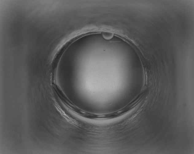 X0000054461503200508011448