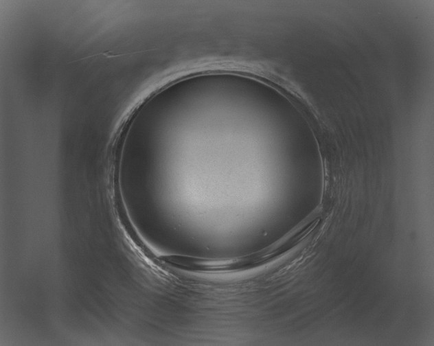 X0000054461504200508011448