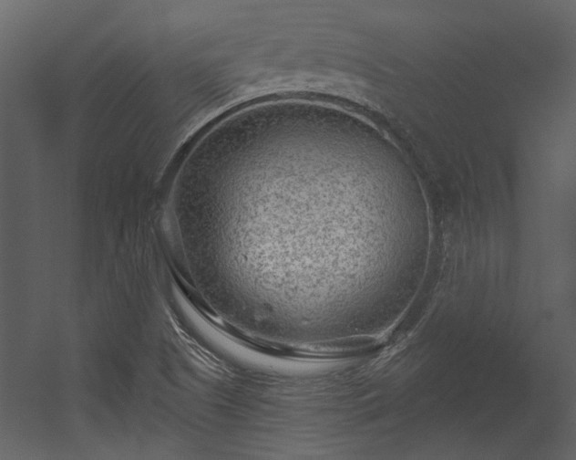 X0000054461505200508011448