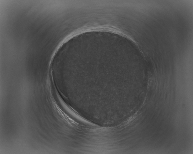 X0000054461506200508011448