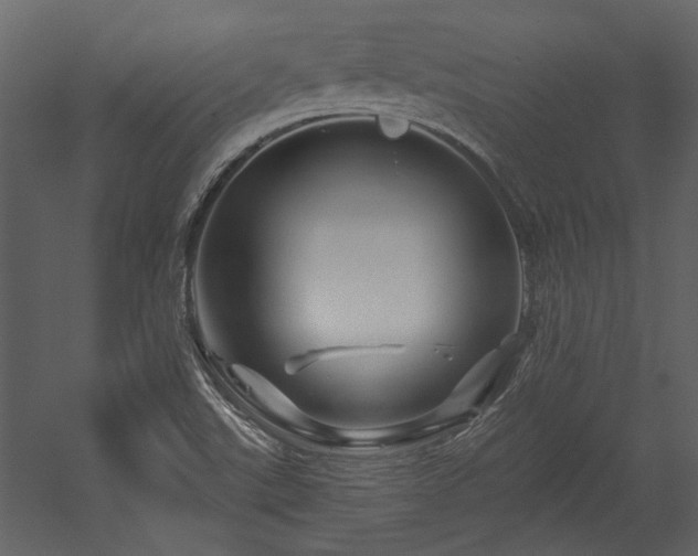 X0000054461507200508011448