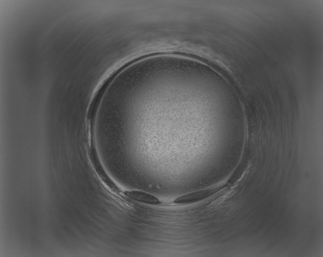 X0000054461509200508011448