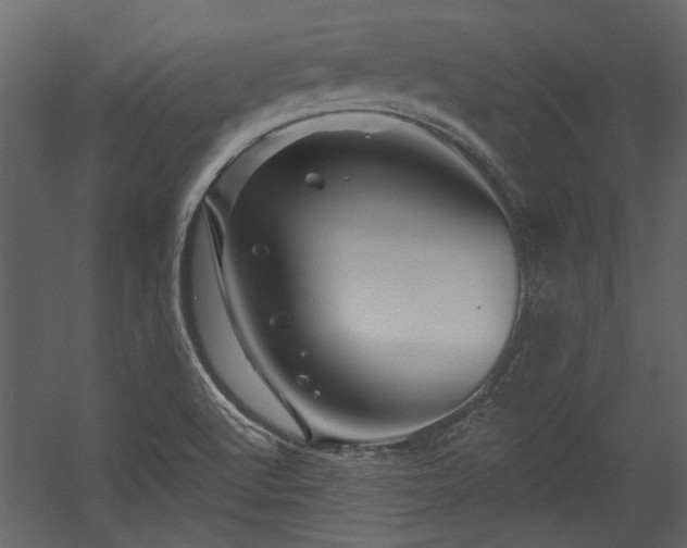 X0000054461512200508011448