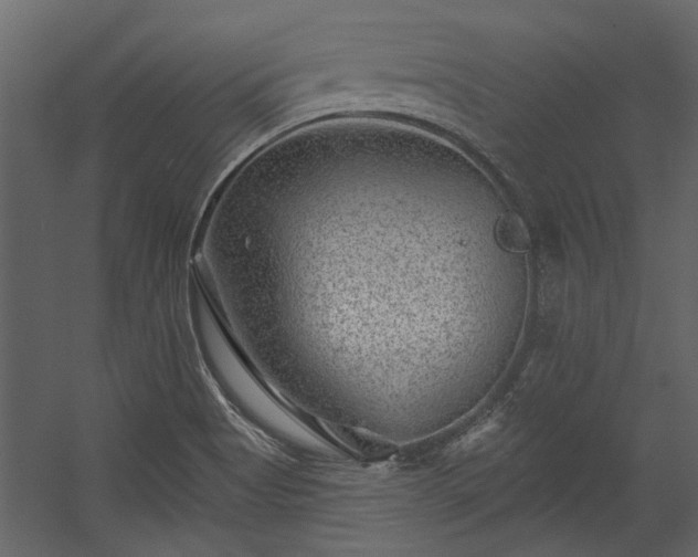 X0000054461513200508011448