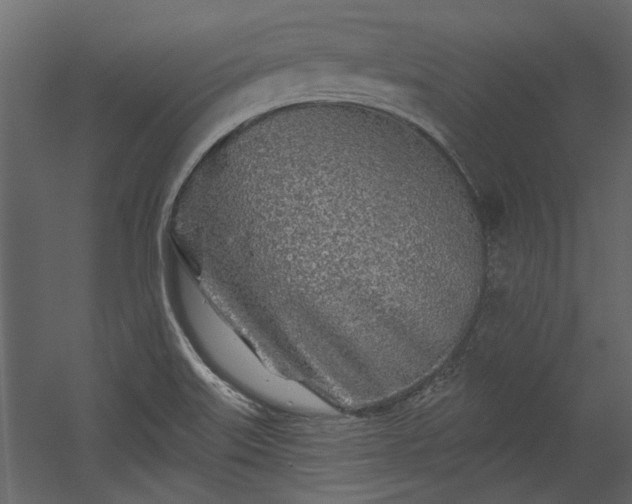 X0000054461515200508011448