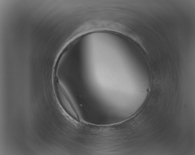 X0000054461516200508011448