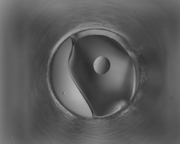 X0000054461518200508011448